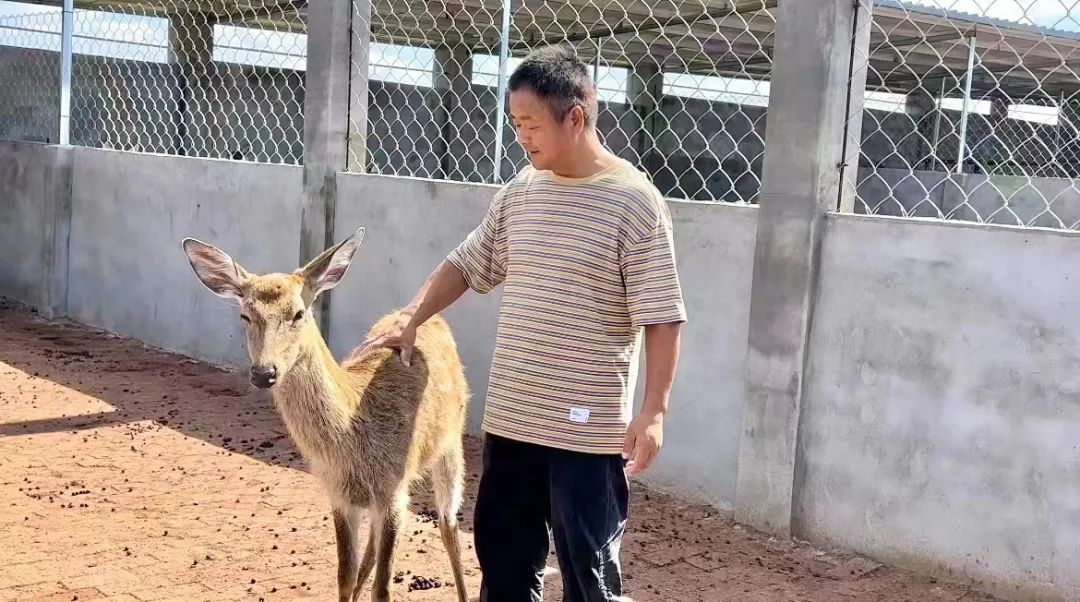 娱乐平台登录网址3